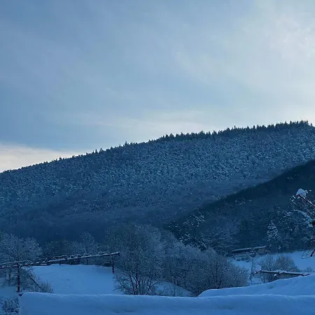 Max アパート Dernbach