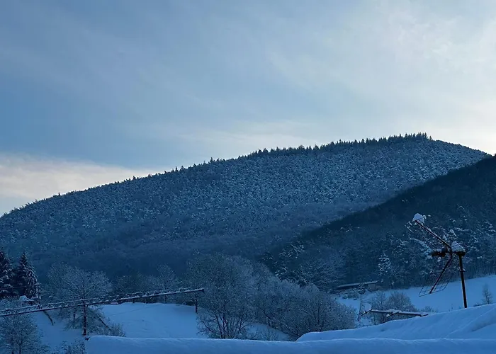 Max 아파트 던바크